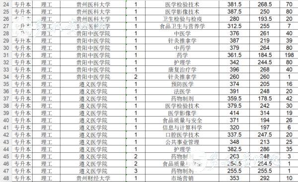 深度解讀與探討