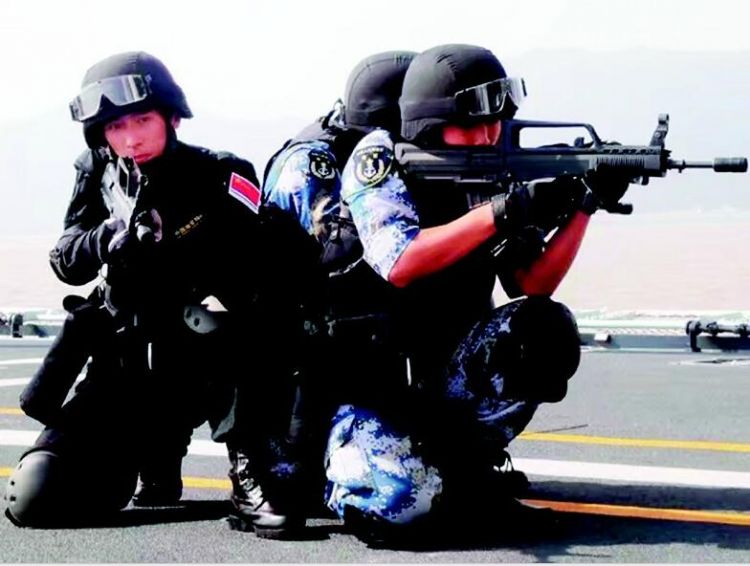 蛟龍突擊隊八人，無畏的勇士與時代的傳奇，蛟龍突擊隊八人，無畏勇士，時代傳奇