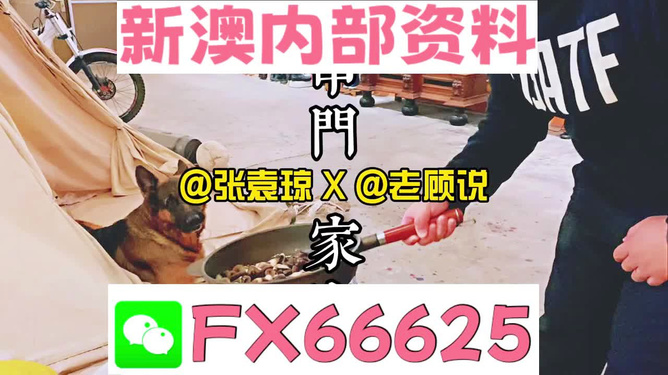 新澳門2025年資料大全管家婆，探索未來的機遇與挑戰(zhàn)，澳門未來展望，機遇與挑戰(zhàn)并存（澳門2025年資料大全管家婆版）