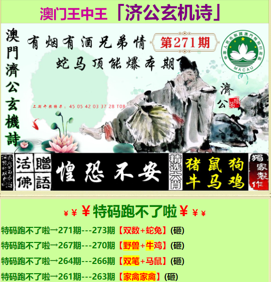 探索與揭秘，關于第133期王中王一肖中特的獨特魅力，揭秘第133期王中王一肖中特的獨特魅力探索之旅