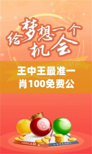 揭秘彩票背后的秘密，探索113期一肖王中王背后的故事，揭秘彩票背后的秘密，探尋第113期生肖彩票王背后的故事