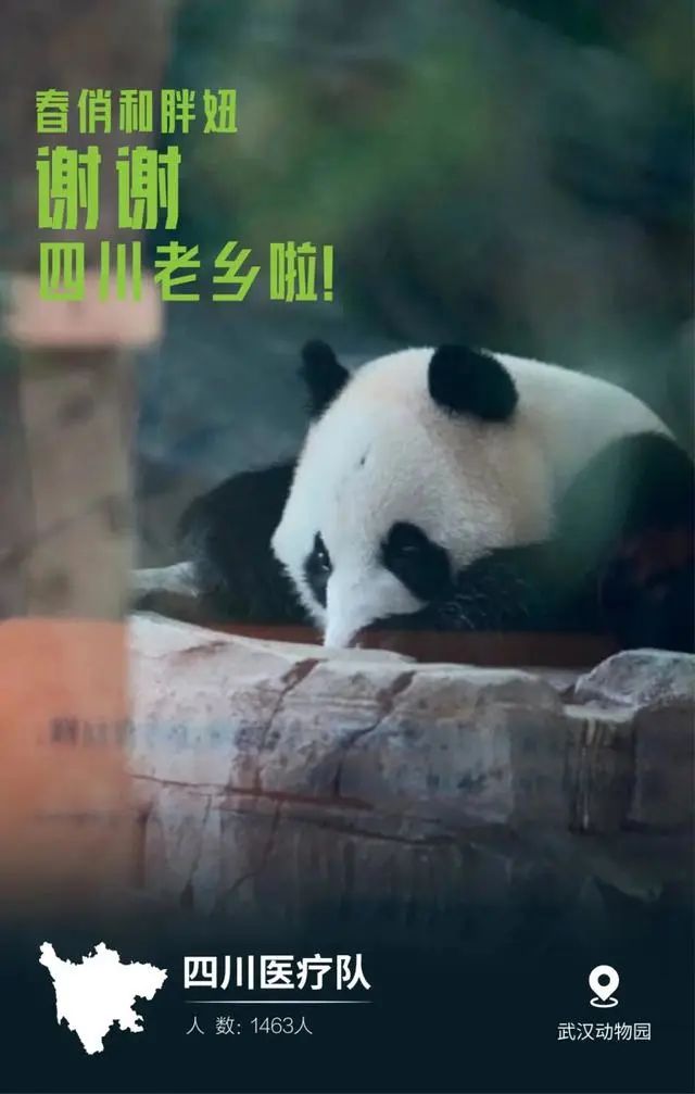 王中王猛虎報(bào)平特一肖——探尋背后的故事與意義，王中王猛虎報(bào)平特一肖，背后的故事與意義探尋