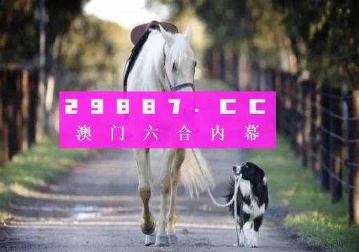 新澳一肖一碼，探索與解析，新澳一肖一碼，深度探索與解析