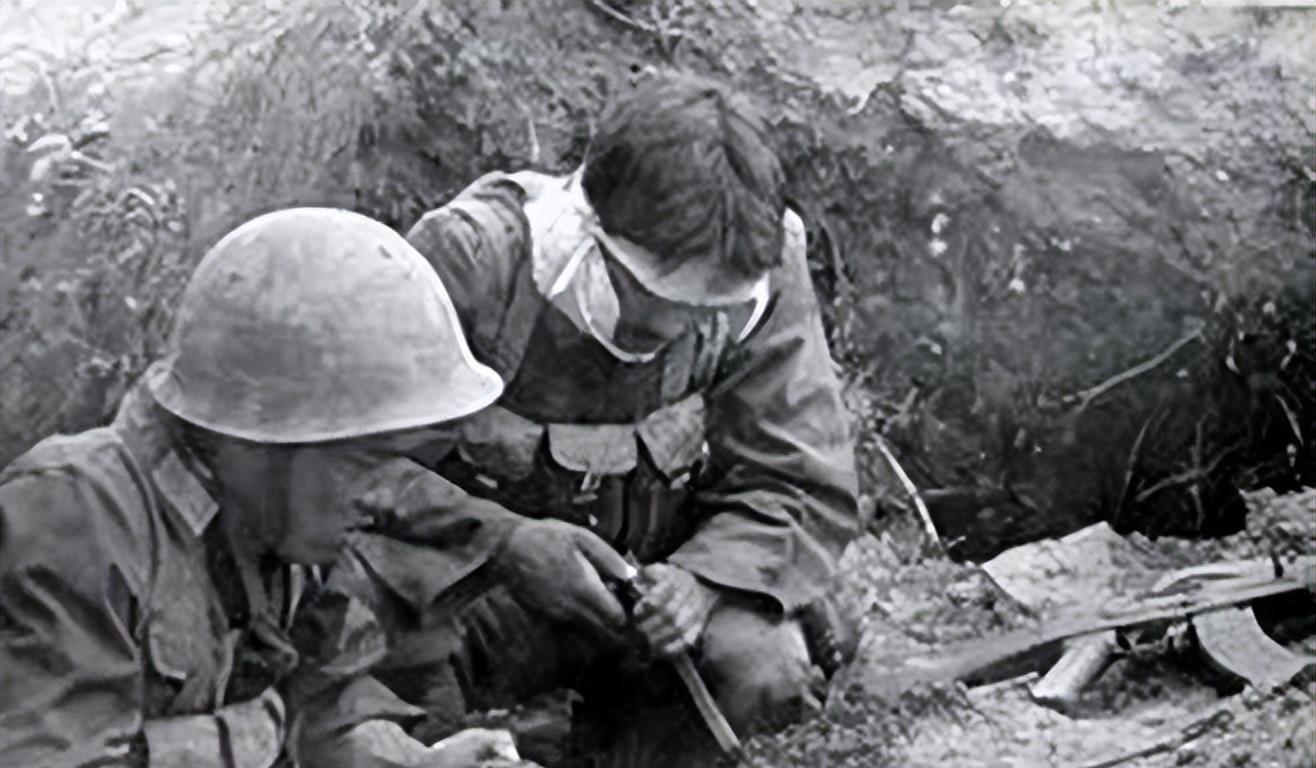 特種兵學(xué)校陣亡名單，榮耀與犧牲的交織，特種兵學(xué)校陣亡名單，榮耀與犧牲的碰撞