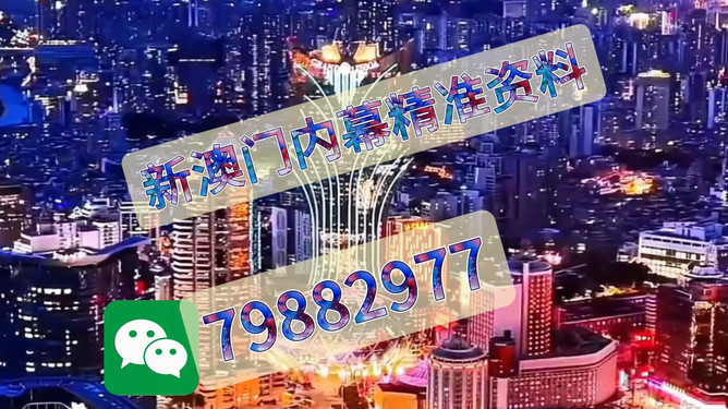 澳門今晚必開一肖——探尋幸運之夜的秘密，澳門幸運之夜，探尋必開一肖的秘密