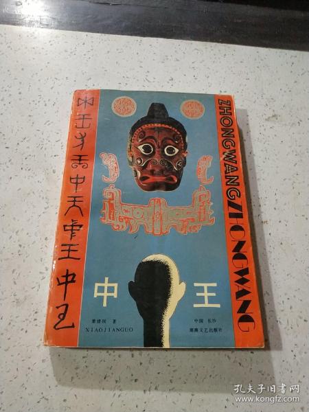 王中王資料一門肖中，深度解析與探討，王中王資料一門肖詳解與深度探討