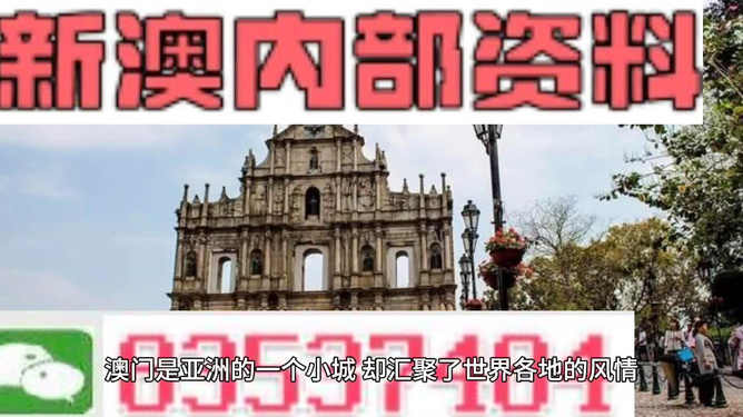 澳門正版資料大全深度解析，澳門正版資料大全深度剖析