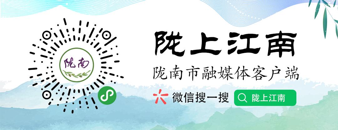 甘肅成縣最新新聞，城市發(fā)展的脈搏與民生改善的步伐，甘肅成縣最新動態(tài)，城市發(fā)展與民生改善同步前行