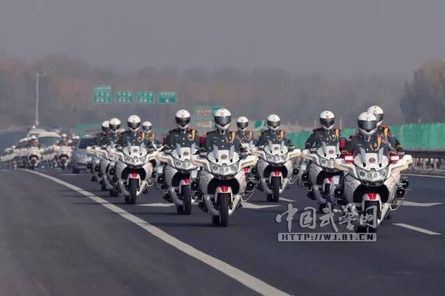 淄博啟程國賓婚慶護(hù)衛(wèi)隊(duì)，守護(hù)甜蜜愛情的使者，淄博啟程國賓婚慶護(hù)衛(wèi)隊(duì)，甜蜜愛情的守護(hù)者