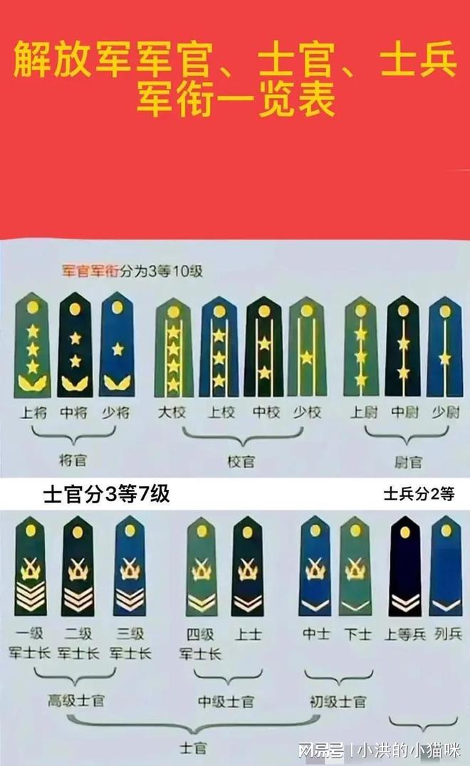 一覽表/概覽表