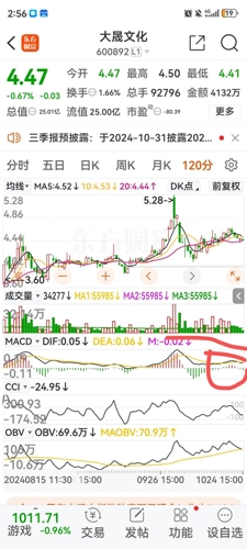 大晟文化的長(zhǎng)期持有價(jià)值探討，大晟文化的長(zhǎng)期持有價(jià)值深度解析