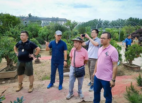 房曉峰個(gè)人資料詳解，房曉峰個(gè)人資料深度解析