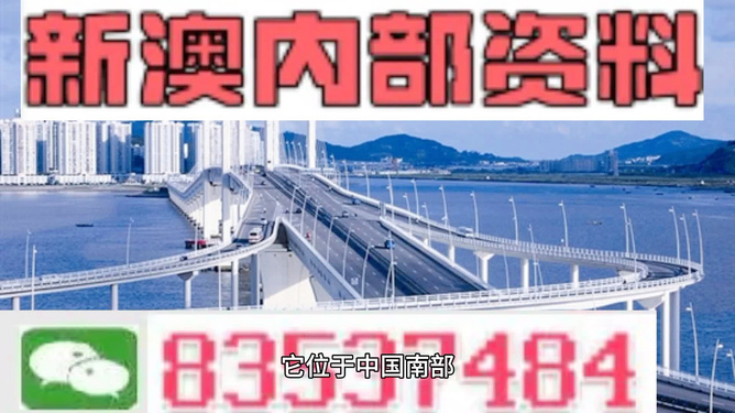 新門(mén)內(nèi)部資料精準(zhǔn)大全，深度解析與探索，新門(mén)內(nèi)部資料深度解析與探索秘籍大全