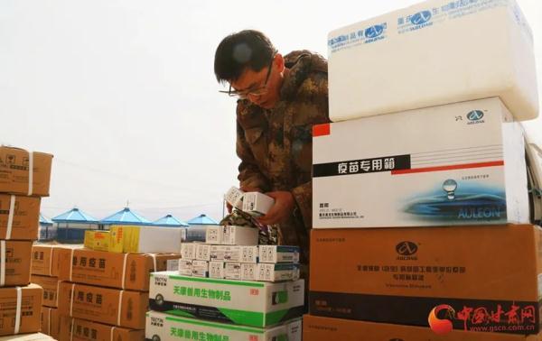 甘肅有海軍嗎？解析中國海軍建設與發(fā)展，甘肅與中國海軍建設，歷史與現(xiàn)狀解析