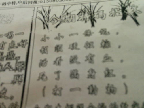劉伯溫期期精選一肖預(yù)測(cè)