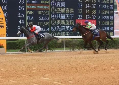 澳門賽馬會，歷史、文化與運動的完美結合，澳門賽馬會，歷史、文化與運動的絢麗交融
