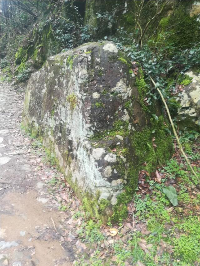 揭秘香港正版劉伯溫四不像一肖傳奇，揭秘劉伯溫四不像一肖傳奇，香港正版獨家揭秘！