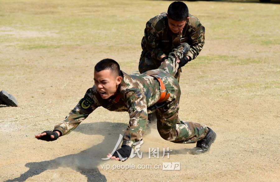 中國(guó)武警特種警察學(xué)院官網(wǎng)，培育精英的搖籃，中國(guó)武警特種警察學(xué)院官網(wǎng)，精英培育搖籃