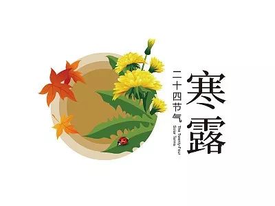 今天是什么節(jié)氣？解讀節(jié)氣的意義與影響，今日節(jié)氣解讀，節(jié)氣意義與影響探討