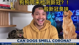 在哪里可以看到最新國際新聞，多元化的信息渠道與選擇策略，最新國際新聞的來源，多元化信息渠道與選擇策略探討