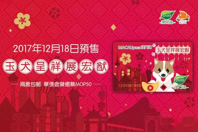 澳門正版資料大全與生肖卡的獨(dú)特魅力，澳門正版資料大全與生肖卡的獨(dú)特魅力揭秘