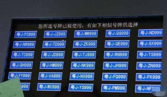 王中王欲錢買一肖網站——揭秘背后的真相與影響，王中王欲錢買一肖網站，背后真相與影響揭秘