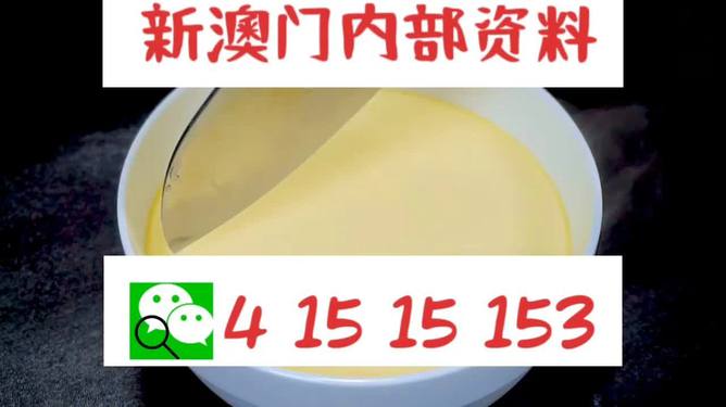 新澳一肖一馬，文化交融與多元發(fā)展的獨(dú)特魅力，新澳一肖一馬，文化交融與多元發(fā)展的獨(dú)特魅力探索