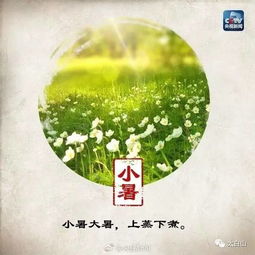 今天是三伏天的第幾天？關(guān)于三伏天的深度解析，三伏天的深度解析，今天是第幾伏日？