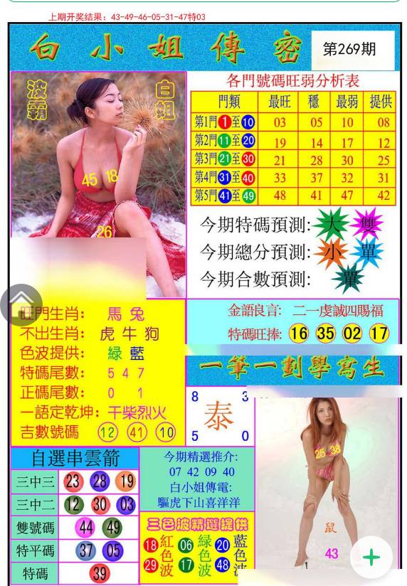 白小姐王中王與待一肖的奇妙緣分，白小姐王中王與待一肖的奇緣