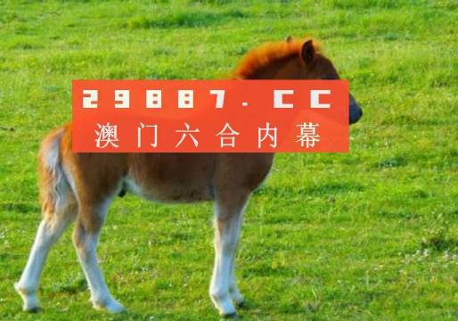新澳門一肖一碼中恃，探索與解讀，澳門新一期一肖一碼解讀與探索