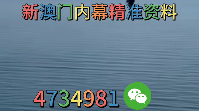 澳門今晚必開一肖一特，預測背后的文化現(xiàn)象與未來展望，澳門生肖預測背后的文化現(xiàn)象與未來展望分析