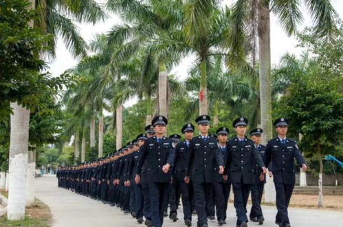 警校的報(bào)考條件及其重要性，警校報(bào)考條件及其重要性解析