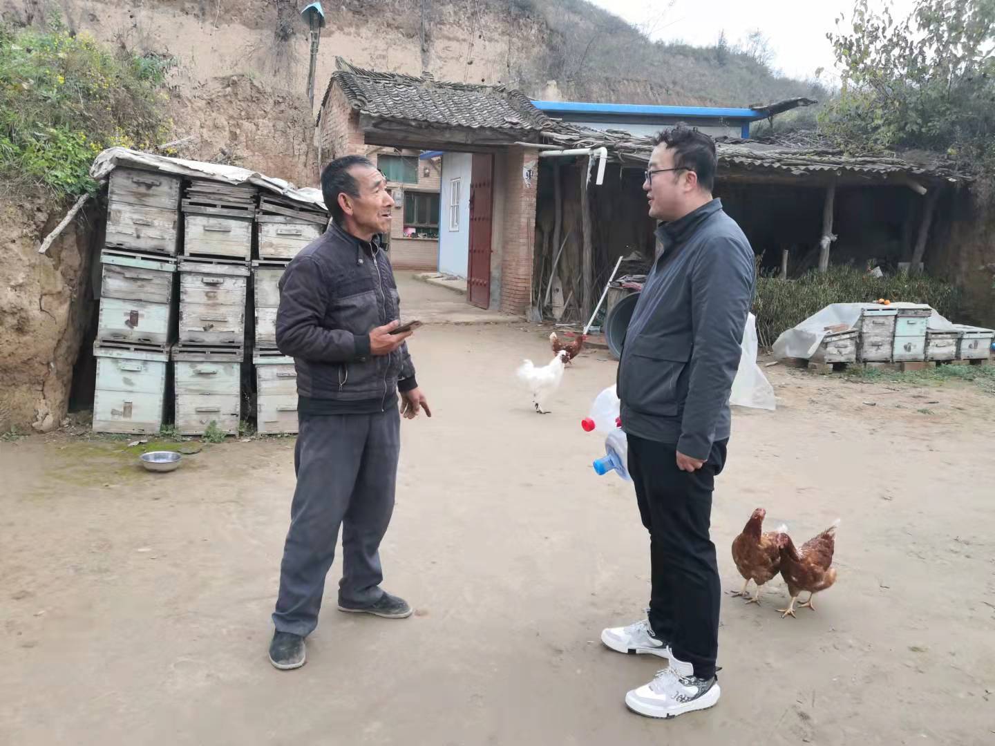 陜西省彬州市龍高鎮(zhèn)土陵村最新新聞消息概覽，陜西省彬州市龍高鎮(zhèn)土陵村最新新聞概覽