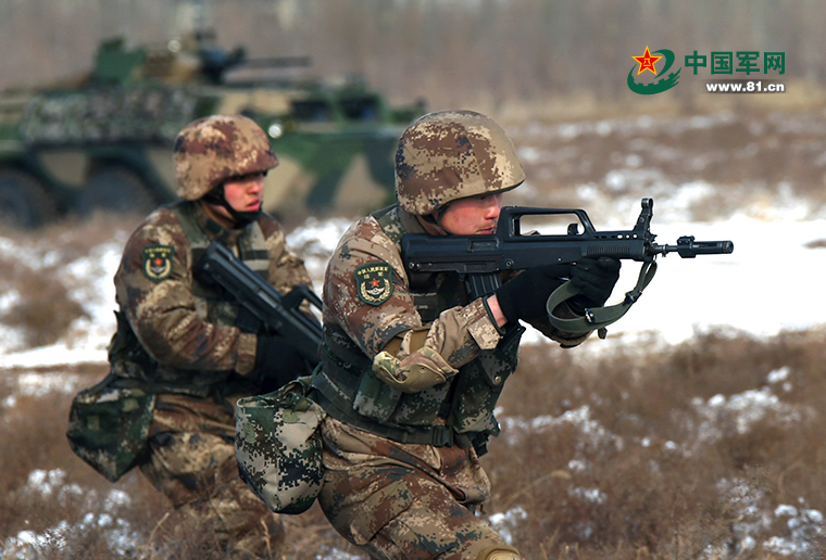 中國(guó)陸軍兵種概覽，中國(guó)陸軍兵種全面概覽